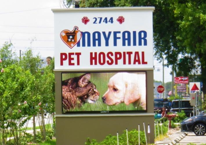 Photo of Mayfair Pet Hospital