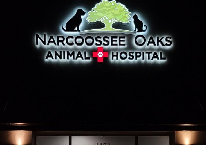 Photo of Narcoossee Oaks Animal Hospital